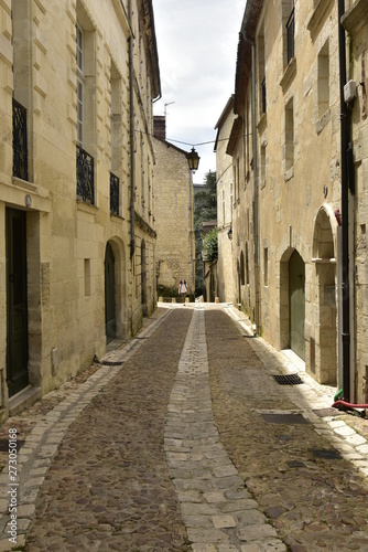 L'une des rues typiques au centre historique de Périgueux en Dordogne © Photocolorsteph