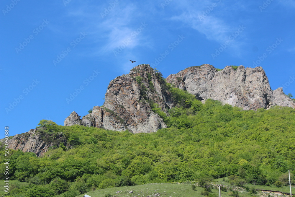 Гора в Карачаево-Черкесии