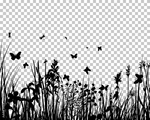 Meadow silhouette