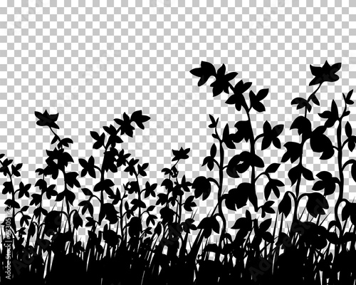 Meadow silhouette