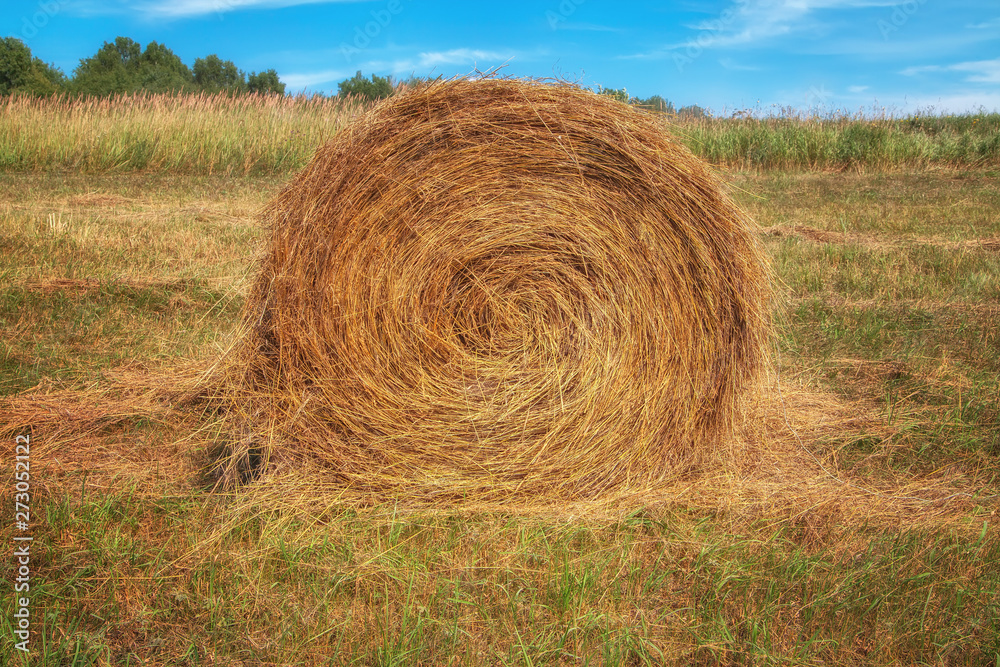 Hayfield. Hay harvesting Sunny autumn landscape. rolls of fresh dry hay in the fields. tractor collects mown grass. fields of yellow mown grass against a blue sky. Hayfield. Hay harvesting Sunny autumn landscape. rolls of fresh dry hay in the fields. tractor collects mown grass. fields of yellow mown grass against a blue sky.