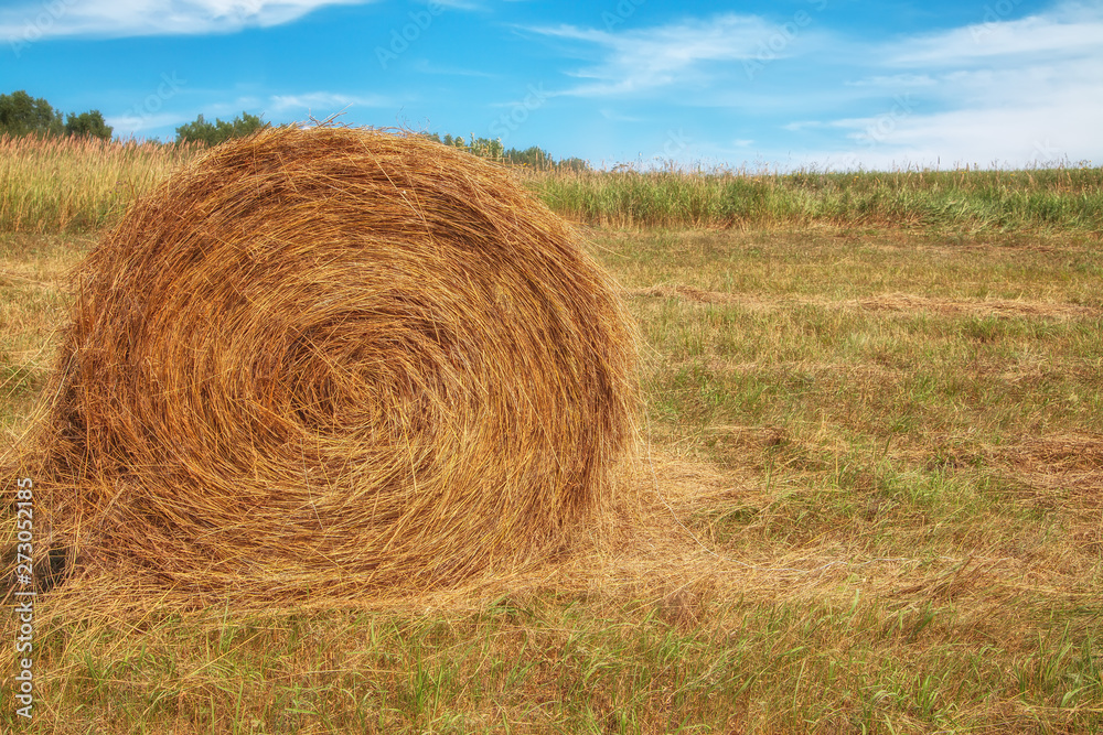 Hayfield. Hay harvesting Sunny autumn landscape. rolls of fresh dry hay in the fields. tractor collects mown grass. fields of yellow mown grass against a blue sky. Hayfield. Hay harvesting Sunny autumn landscape. rolls of fresh dry hay in the fields. tractor collects mown grass. fields of yellow mown grass against a blue sky.