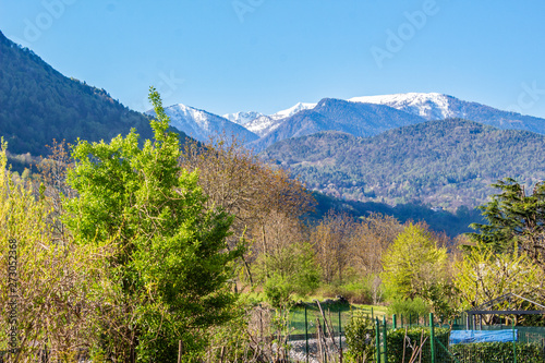 Mountain View from Crist photo