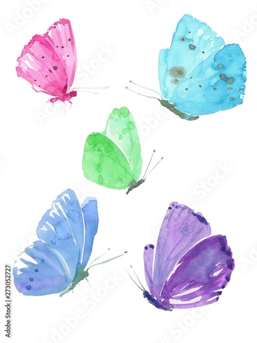 Watercolor colorful butterflies, isolated on white background blue, yellow, pink purple, turquoise butterfly illustration. photo