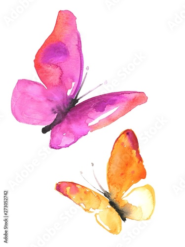 Watercolor colorful butterflies, isolated on white background pink redand orange butterfly illustration. photo