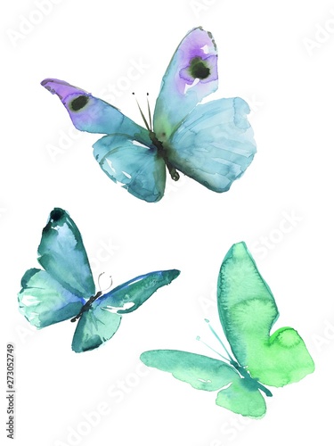 Watercolor colorful butterflies, isolated on white background blue, turquoise butterfly illustration. © beehouse studio