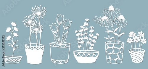 Echinacea, chamomile, schefler, noble hepatica, zephyrantes, stokesia. Vector illustration. Set of paper flower in pots, stickers. Laser cut. Set template for laser cutting and Plotter. Vector illustr