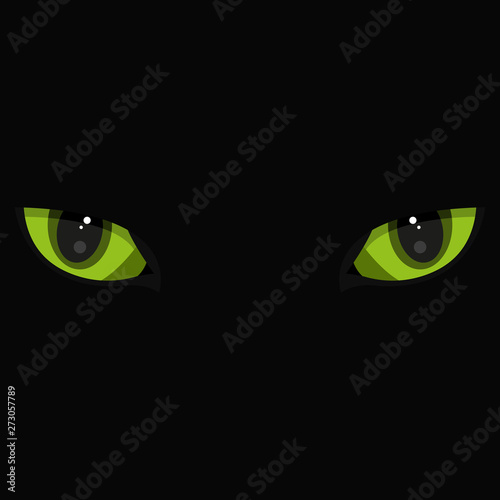 Beautiful green cat eyes on black background. Simple flat vector illustration