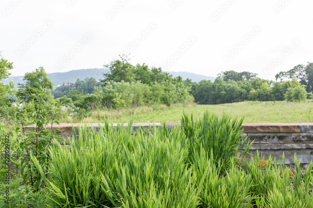 Home and Landscape Home and Landscape