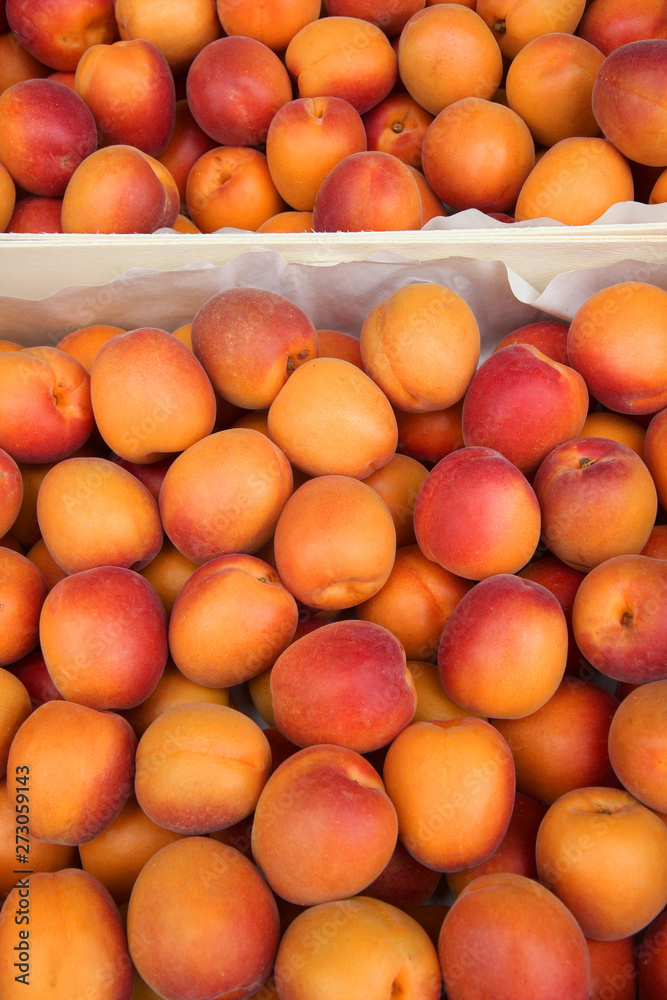 ripe apricots in the market	
