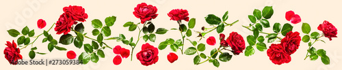 Red roses composition