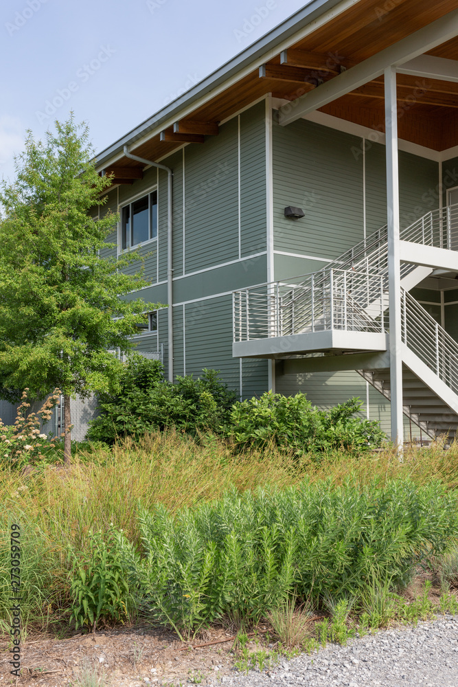 Modern Architecture and Landscaping