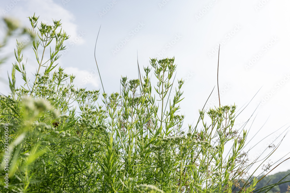 Home and Garden Landscaping Home and Garden Landscaping