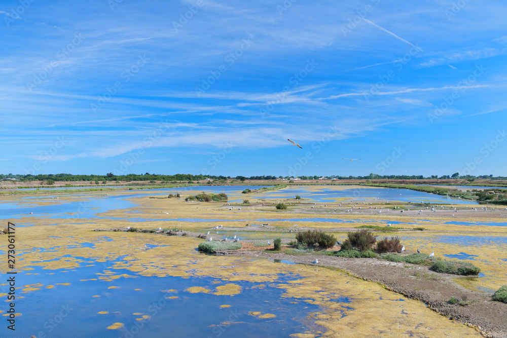 bird sanctuary on Island Ile de Re bird sanctuary on Island Ile de Re