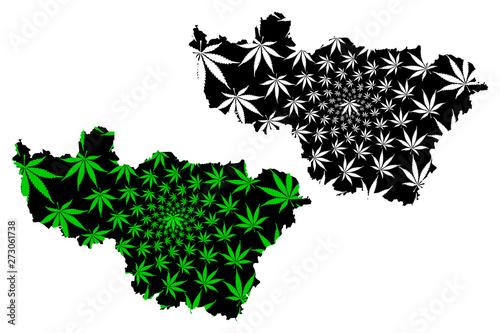 Vladimir Oblast (Russia, Subjects of the Russian Federation, Oblasts of Russia) map is designed cannabis leaf green and black, Vladimir Oblast map made of marijuana (marihuana,THC) foliage,....