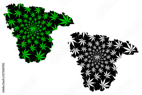 Voronezh Oblast (Russia, Subjects of the Russian Federation, Oblasts of Russia) map is designed cannabis leaf green and black, Voronezh Oblast map made of marijuana (marihuana,THC) foliage,....