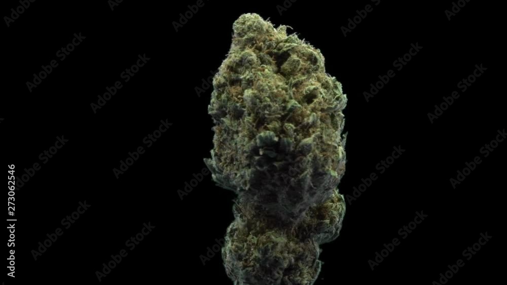 Cannabis, USA Weed, Gelato 33, Strain, Bud, rotate Cannabis, USA Weed, Gelato 33, Strain, Bud, rotate