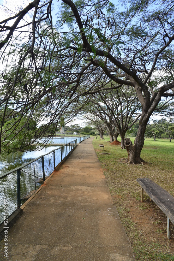 A beautiful view of Brasilia Zoo in the city. A beautiful view of Brasilia Zoo in the city.