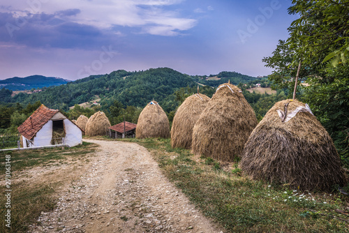 Hay stacks next to road in small settlement in mountains near Guca town in Lucani municipality in Serbia photo