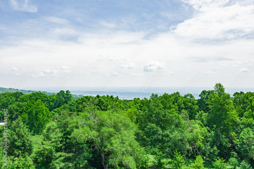 Obraz premium Aerial View of Home and Garden
