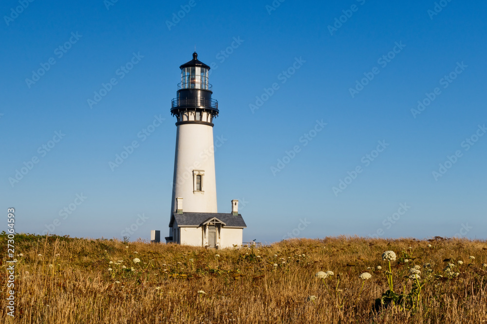 Yaquina Head Lighthouse 2