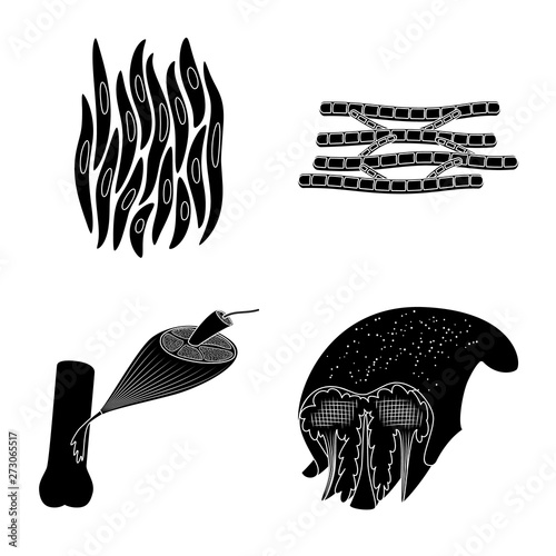 Vector illustration of human and body  sign. Set of human and cells stock symbol for web.