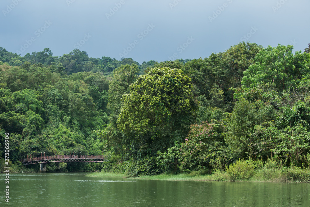 Lake, Water, Summer, Sun, Springtime