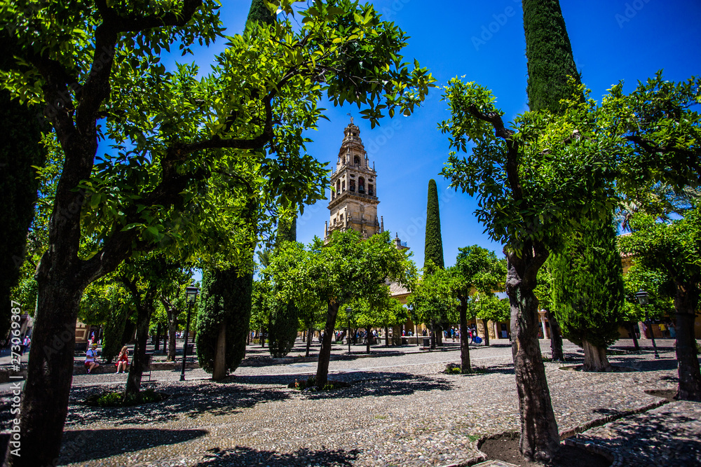 Obraz premium Andalusia