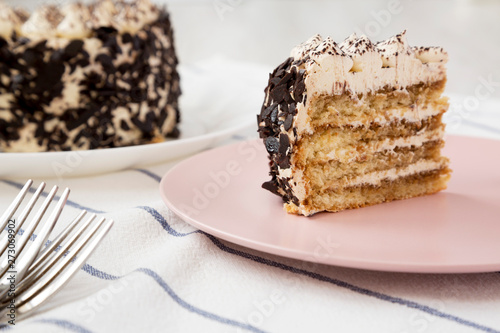 A slice of tiramisu cake on a pink plate, side view. Close-up.