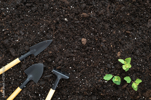 Top view of set gardening tools, rake, shovel and small green leafy plants on black soil ground with copy space