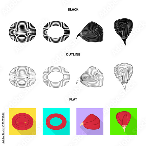 Vector design of fiber and muscular icon. Set of fiber and body  stock vector illustration.