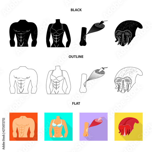 Isolated object of fiber and muscular sign. Collection of fiber and body  stock symbol for web.