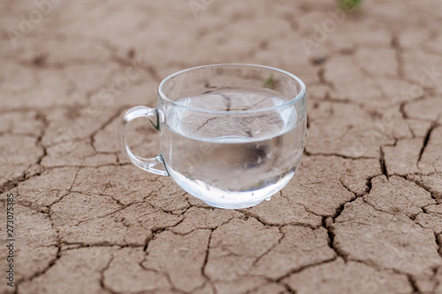 Concept of thirst, dehydration, lack of water. A cup of water on cracked dry ground. photo