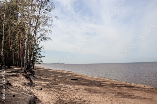 The Gulf of Finland . Summer sea in clear windless weather. Sea without waves.
