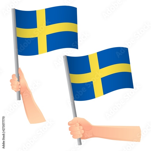 Sweden flag in hand icon