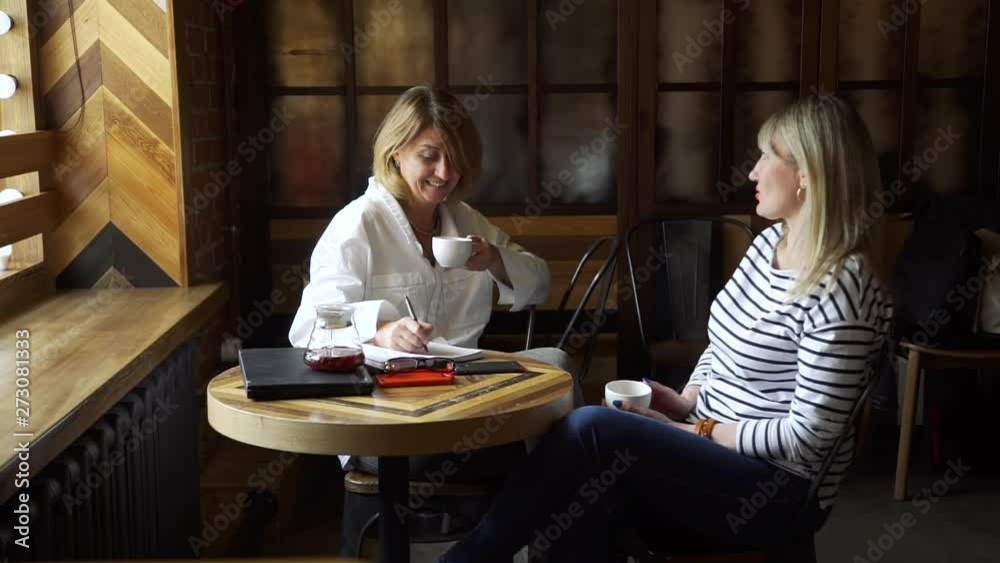 Mature Woman Discussing her Problems with Female Psychologist in a Cafe. Psychologist Listening to Female Patient Talking and Making Notes in her Notebook. Slow Motion. Mature Woman Discussing her Problems with Female Psychologist in a Cafe. Psychologist Listening to Female Patient Talking and Making Notes in her Notebook. Slow Motion.