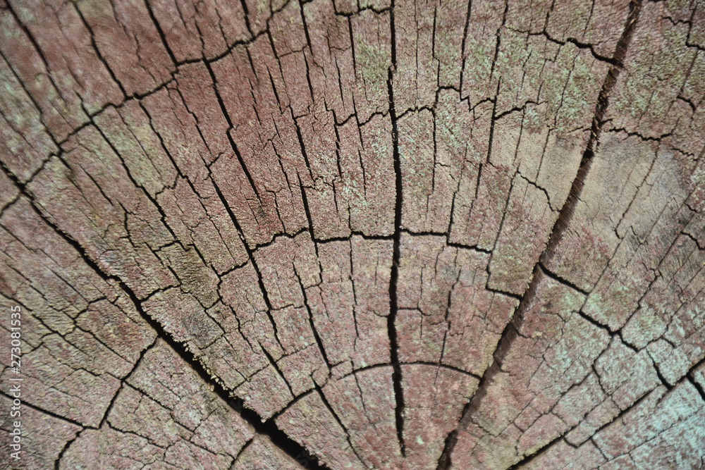 old wood texture old wood texture