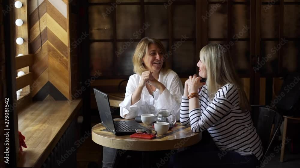 Multi Level Marketing Meeting of Two Smiling Women in a Modern Style Coffee House. Two Middle Age Women Discussing Business and Success in a Company. Freelance Work, Business People Concept Multi Level Marketing Meeting of Two Smiling Women in a Modern Style Coffee House. Two Middle Age Women Discussing Business and Success in a Company. Freelance Work, Business People Concept
