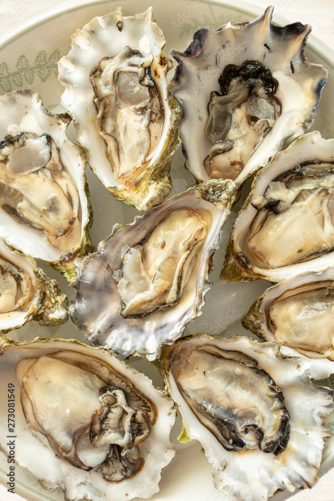 Plated halved oysters in their shells Plated halved oysters in their shells