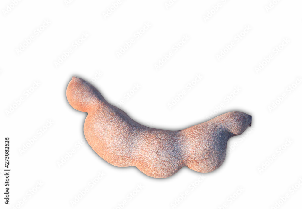 Fototapeta premium tamarind