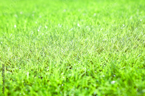 Wallpaper Mural grass Torontodigital.ca