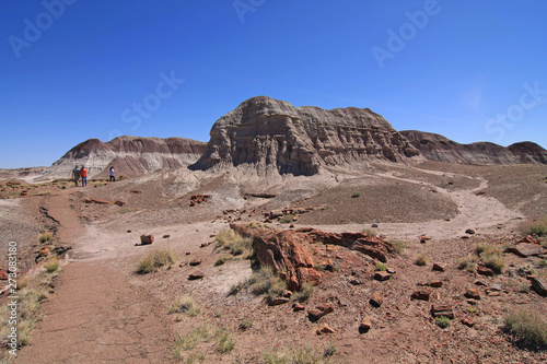 Large petrified wood trunks under a cloudless sky in Petrified Forest National Park, Arizona.