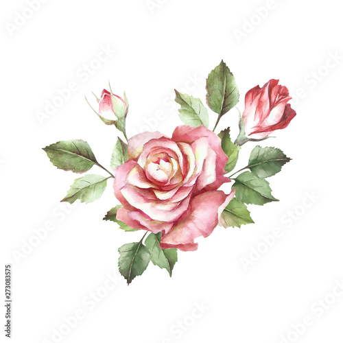 Roses and buds bouquet. Isolated on white background for your design. Waterco...