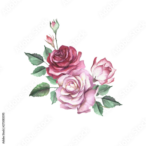 Roses and buds bouquet. Isolated on white background for your design. Waterco...