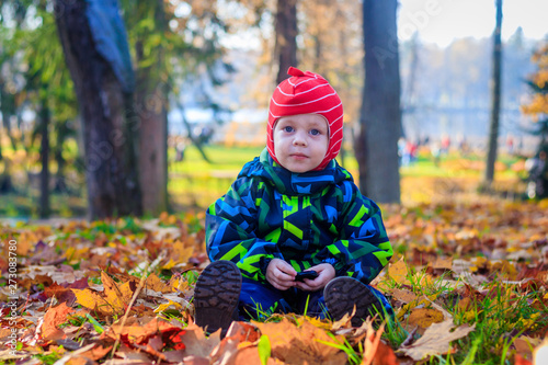 The boy sits in the autumn leaves in the park. Little boy. Very in the park. Golden autumn. Sunny day.