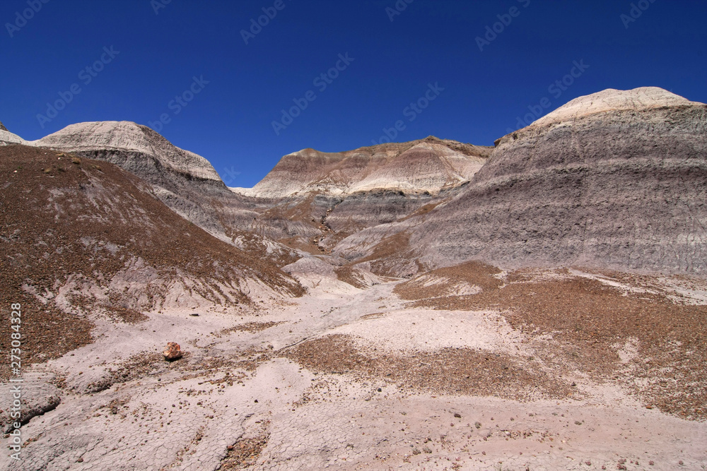 Badlands of the Painted Desert in Petrified Forest National Park, Arizona, under a cloudless summer sky.