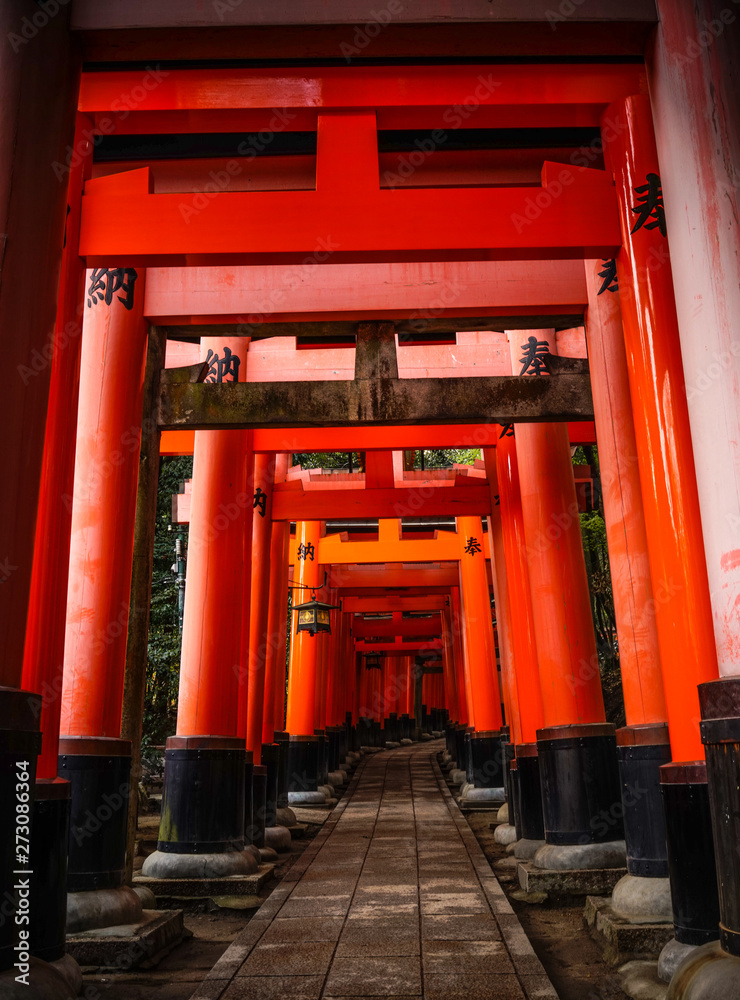 Fushimi Inari-taisha Shrine in Kyoto, Japan Fushimi Inari-taisha Shrine in Kyoto, Japan