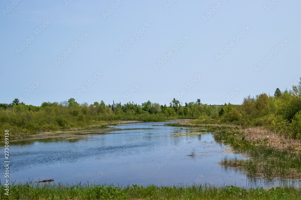 Landscape view of Mosquito Brook flooding after heavy rains in the Northwoods