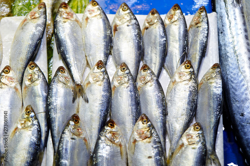 Canvas Print Fishes at Korean fish market