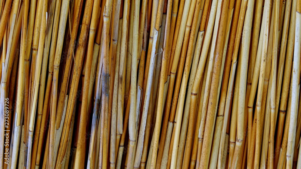 Bamboo background Bamboo background